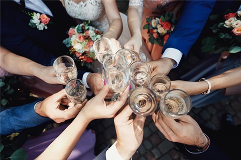 צילום: Shutterstock צילום: Shutterstock