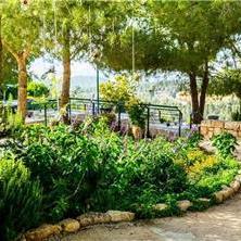 גן אירועים במשואות יצחק גן אירועים
