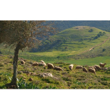 נוף עוצר נשימה נוף עוצר נשימה