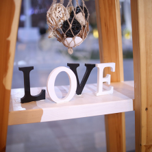 עיצוב קישוטי האולם Love עיצוב קישוטי האולם Love