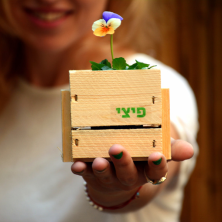 עציץ מעוצב עם פרח יחיד עציץ מעוצב עם פרח יחיד