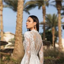 Wedding Dresses Collection Wedding Dresses Collection