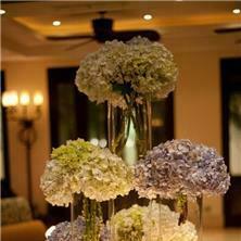 DNL flower design - 5 DNL flower design - 5