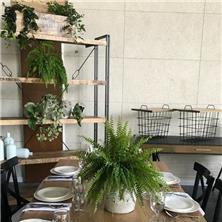 Sky Garden סקי גרדן - מתחם אירועים - 2 Sky Garden סקי גרדן - מתחם אירועים - 2