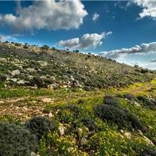 אוהל יעל - מקום בהר - 2 אוהל יעל - מקום בהר - 2