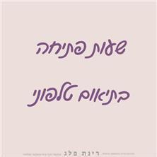 ריני - הדרכת כלה - 3 ריני - הדרכת כלה - 3