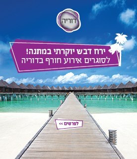 חתונות חורף דוריה